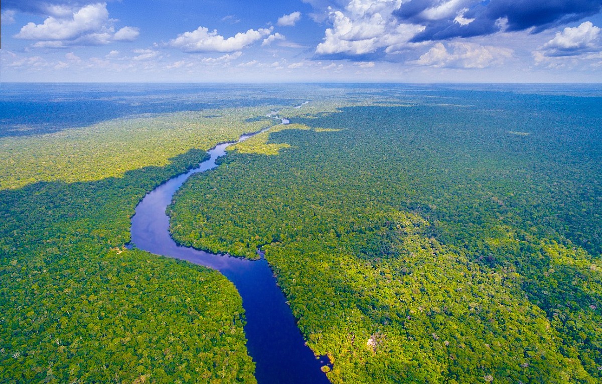 Dia da Amazônia: 