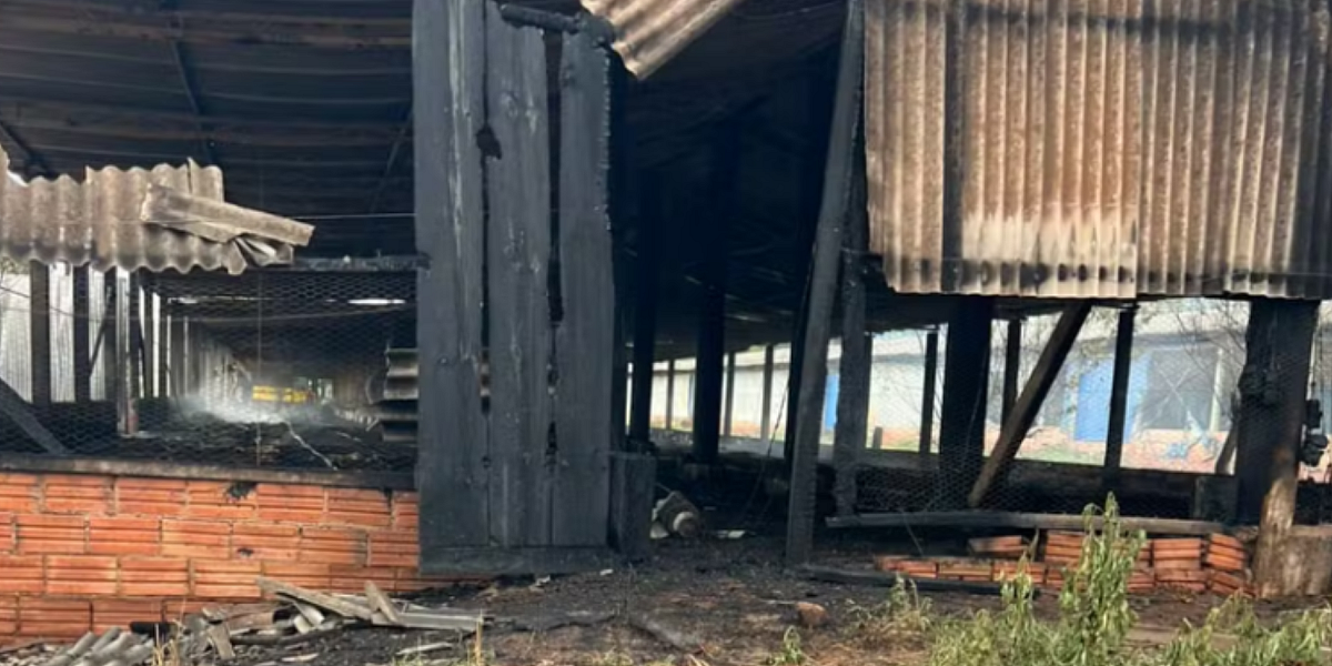 Incêndio em granja mata mais de 17 mil pintinhos em Avaré