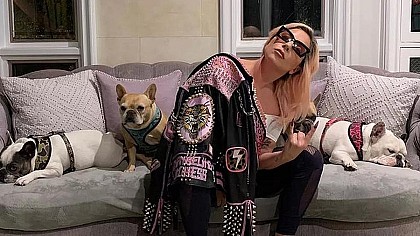 Homem que roubou cachorros de Lady Gaga é condenado a 21 anos de prisão