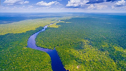 Dia da Amazônia: 