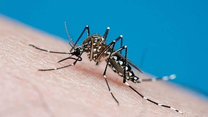 Avaré realiza mutirão contra a dengue