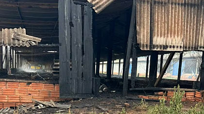 Incêndio em granja mata mais de 17 mil pintinhos em Avaré